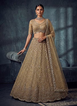 Gold Net Cutdana Embroidered Sequins Stones Lehenga