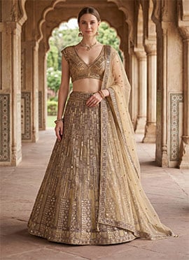 Gold Net Embroidery Sequins Lehenga