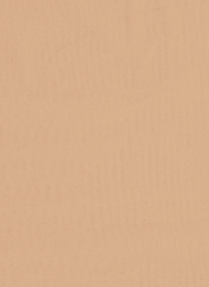 Gold Net Fabric
