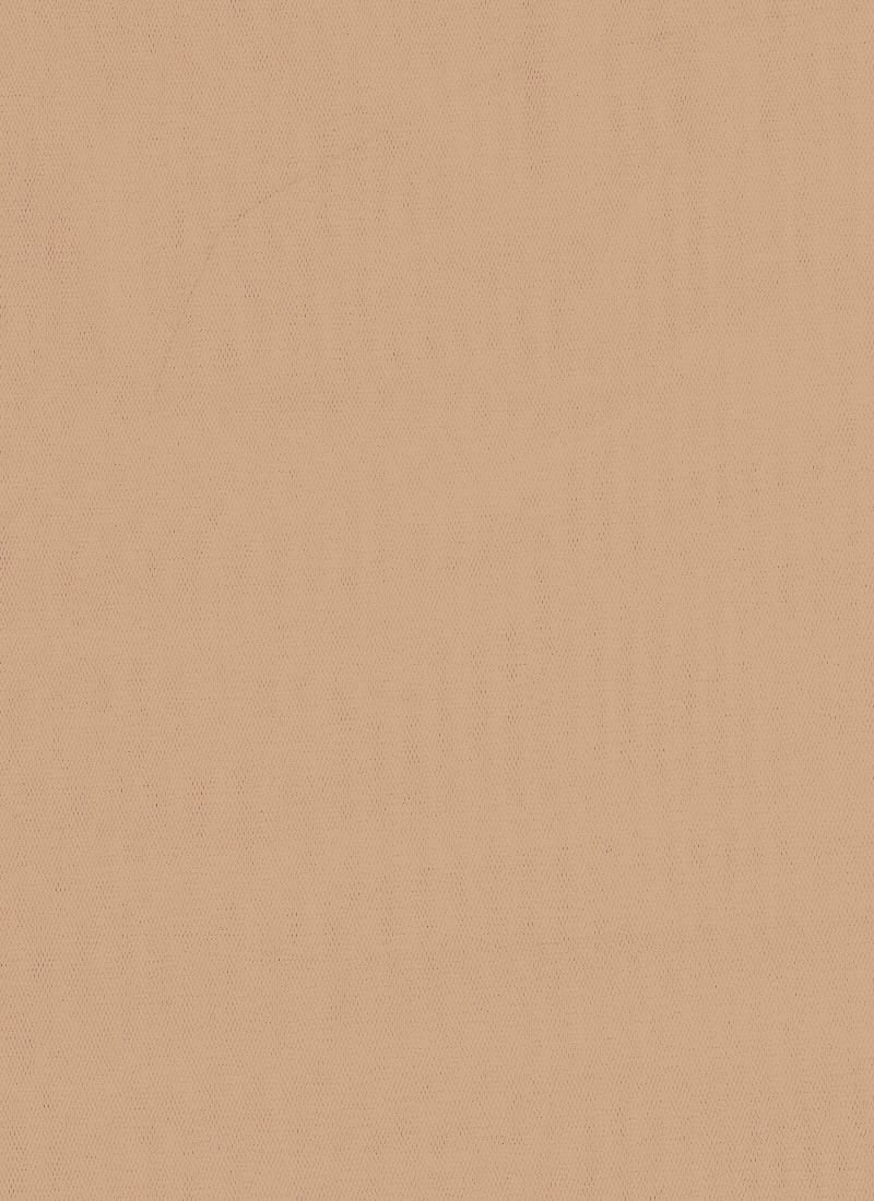 Gold Net Fabric