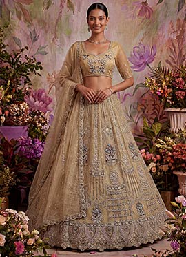 Golden Net Embroidered Sequins Lehenga