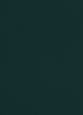 Green Art Silk Solid Fabric