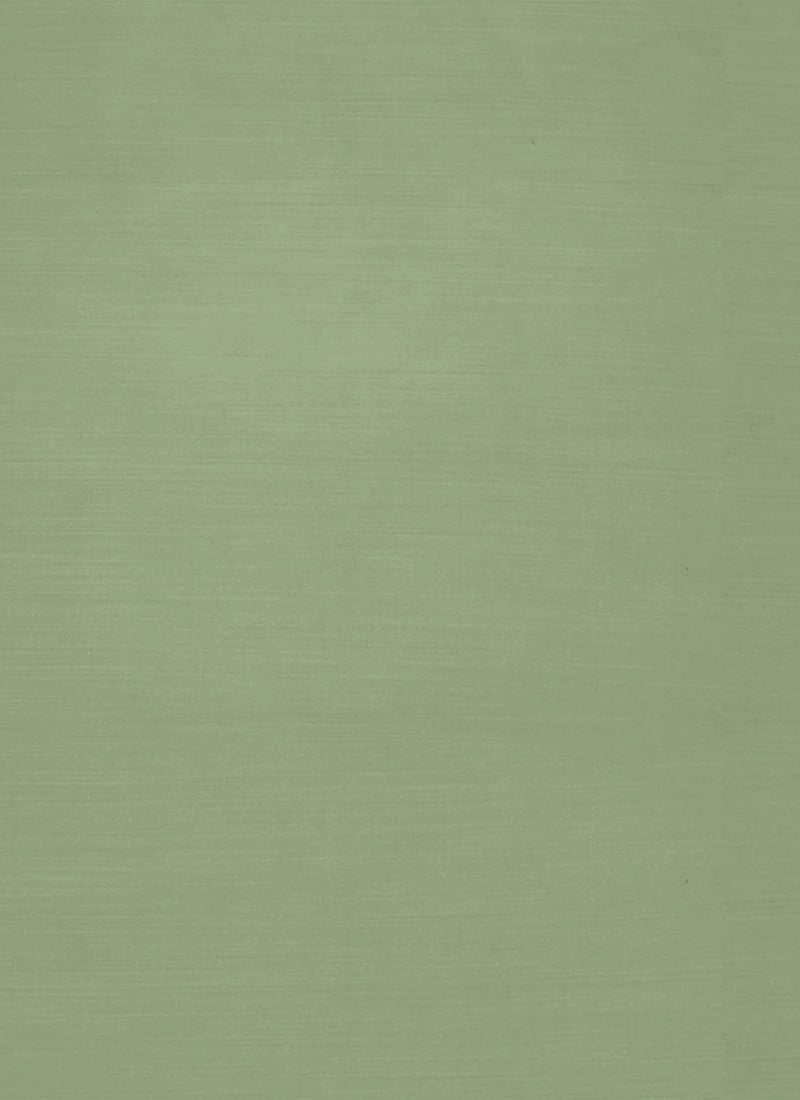 Green Chanderi Silk Fabric