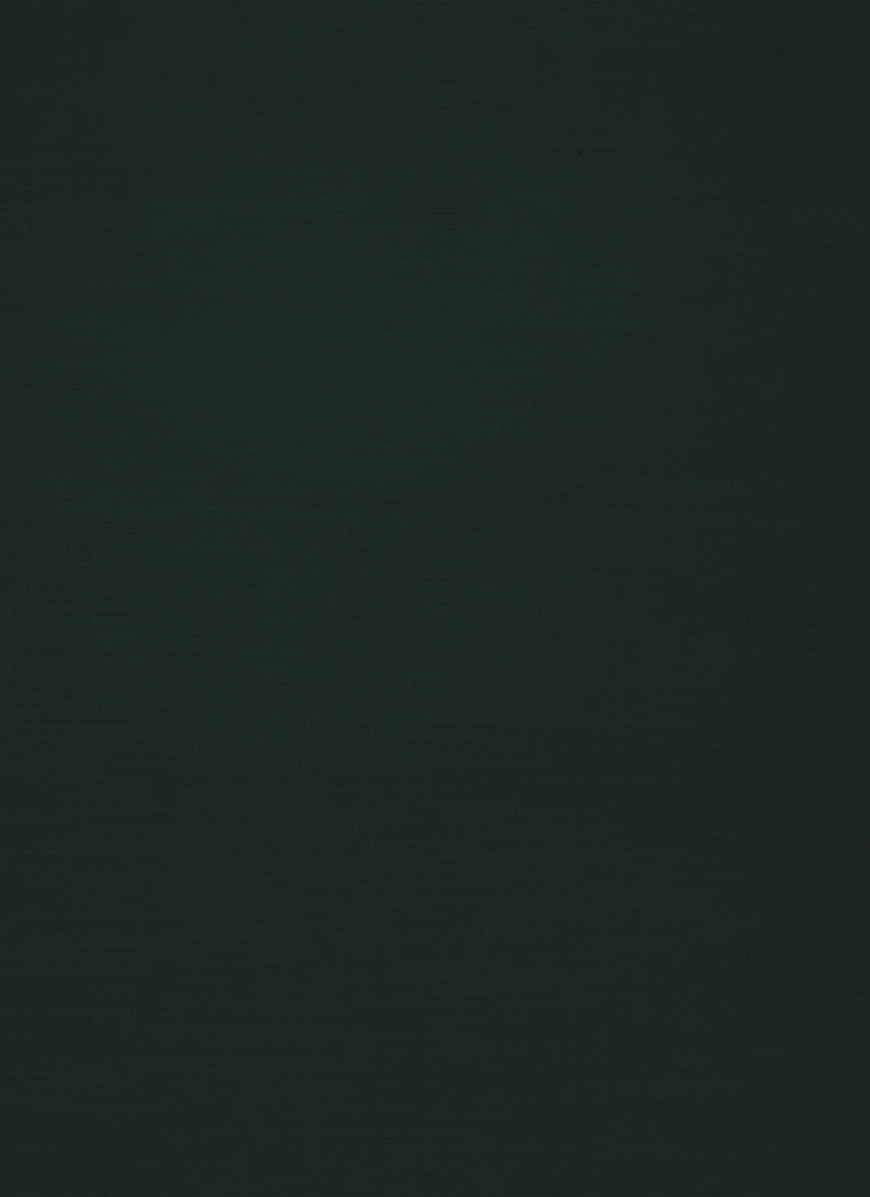 Green Chanderi Silk Fabric