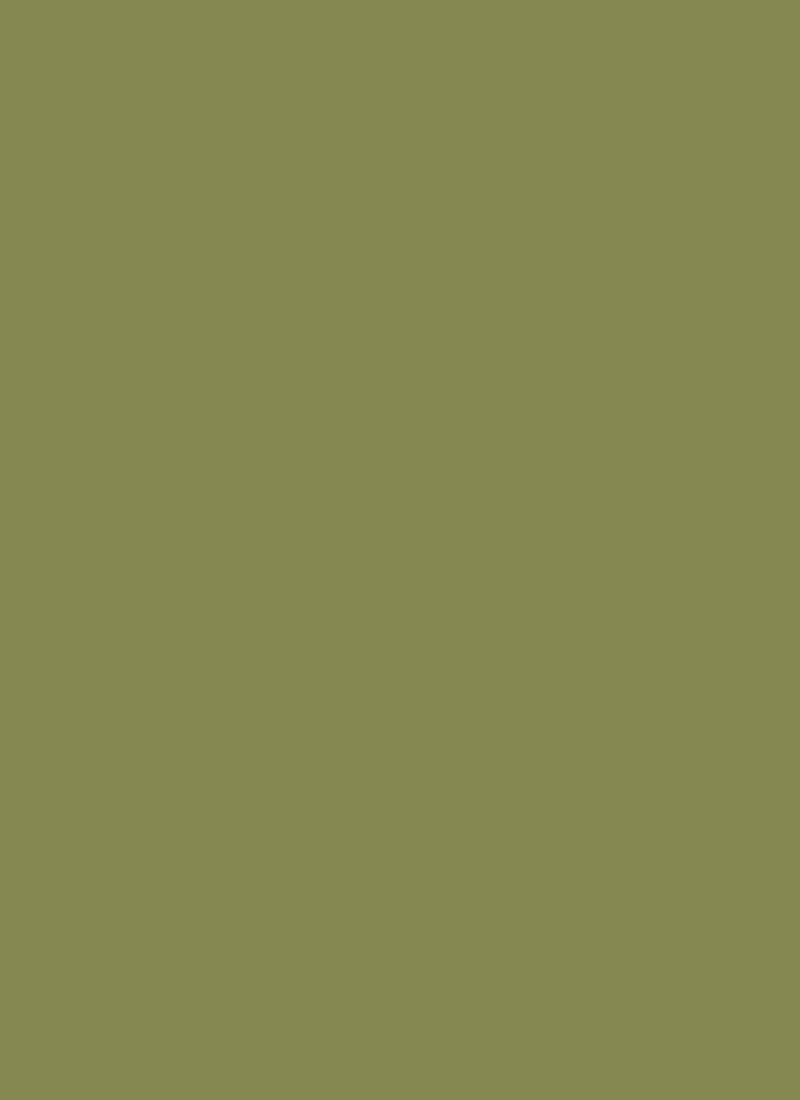 Green Chinon Plain Fabric