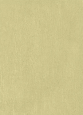 Green Cotton Plain Fabric