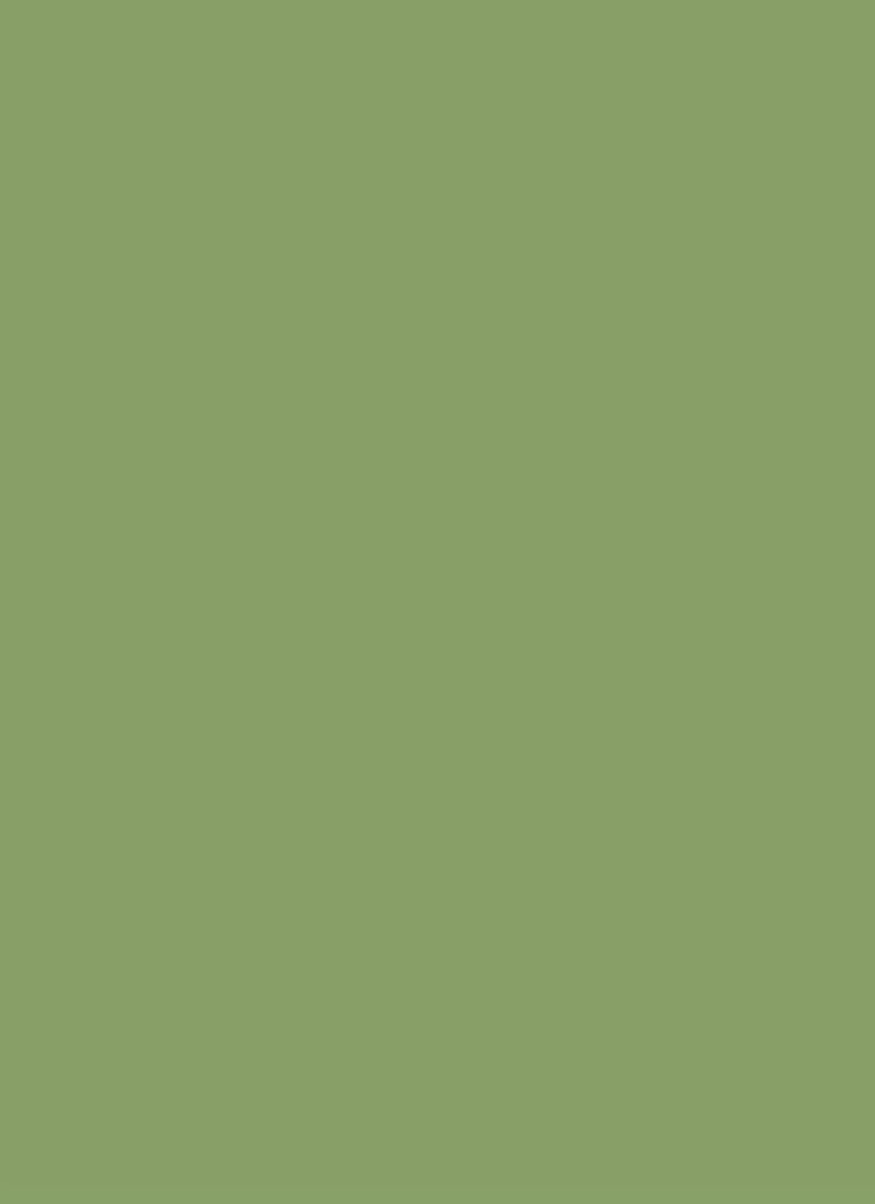 Green Crepe Fabric