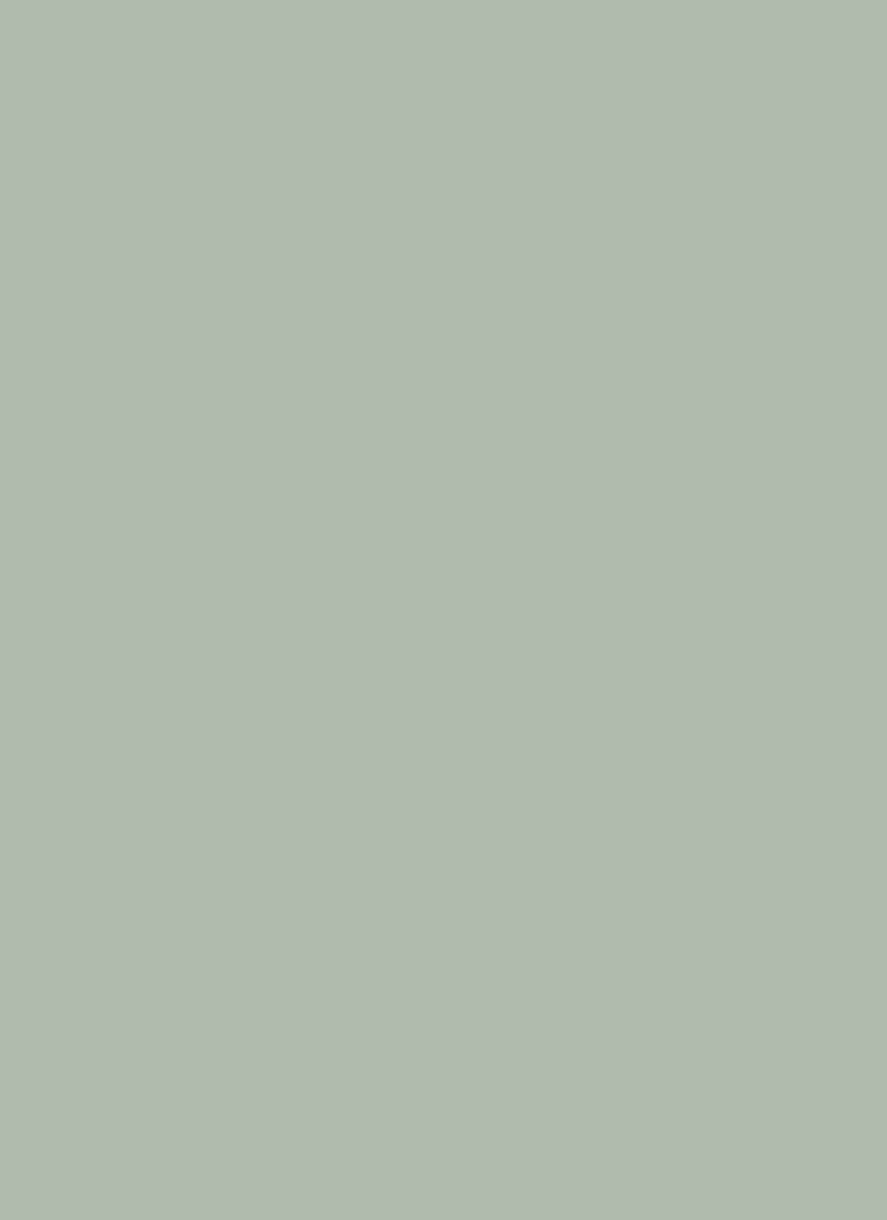 Green Crepe Plain Fabric