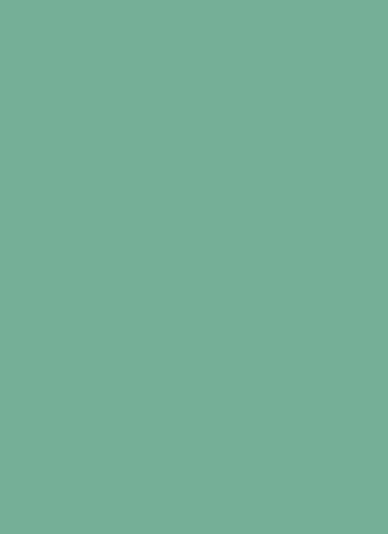 Green Crepe Plain Fabric