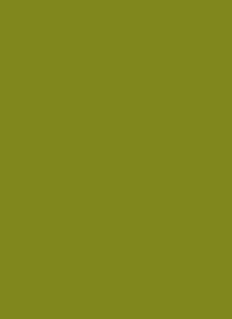 Green Faux Crepe Fabric