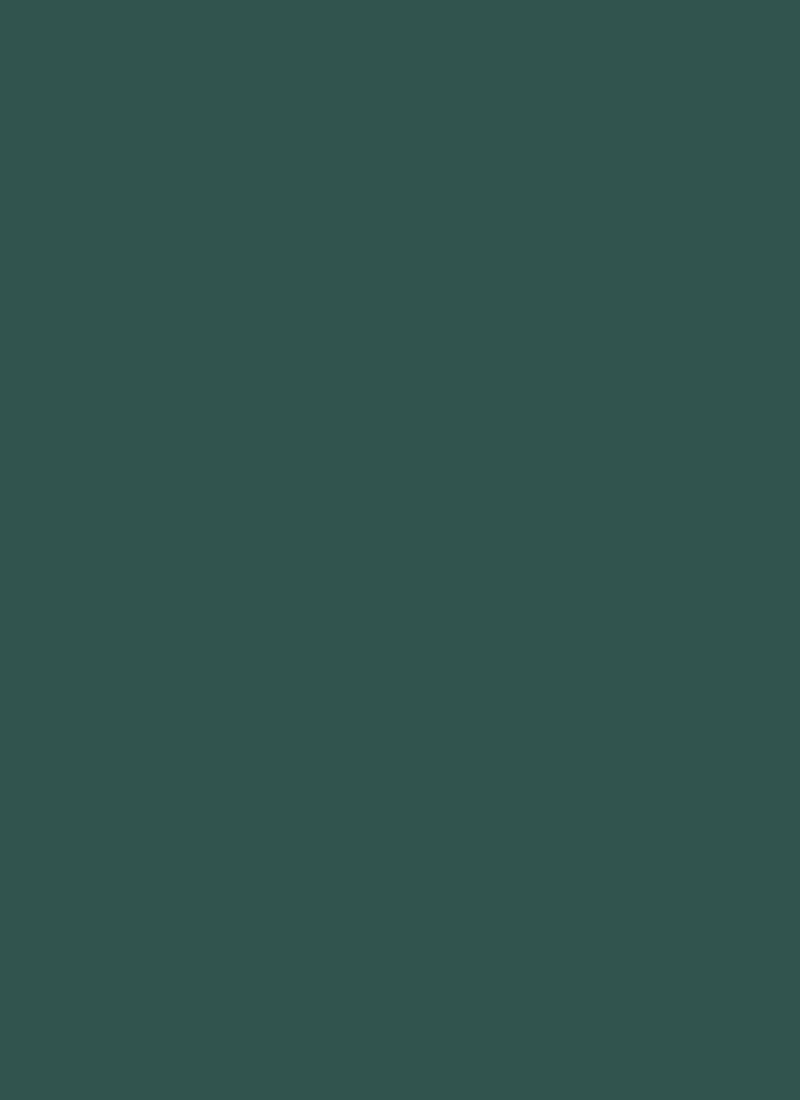 Green Net Fabric