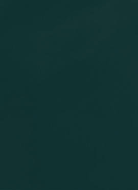 Green Organza Solid Fabric