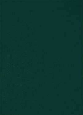 Green Rayon Solid Fabric