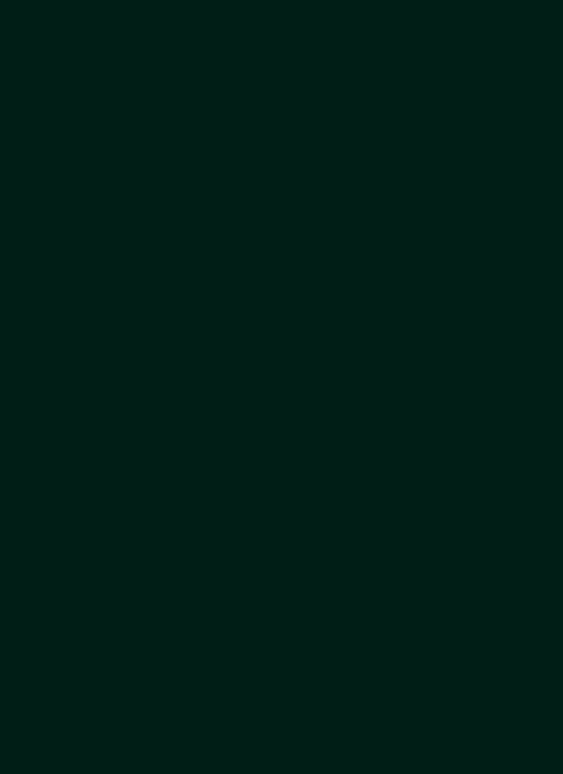 Green Satin Blend Fabric