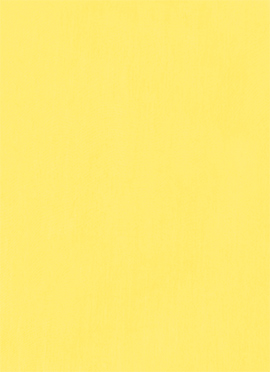 Lemon Fizz Cotton Soild Fabric