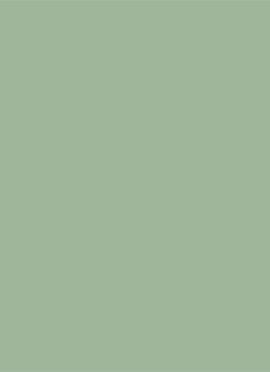Light Green Crepe Fabric