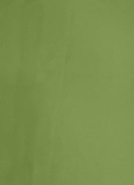 Light Green Crepe Solid Fabric