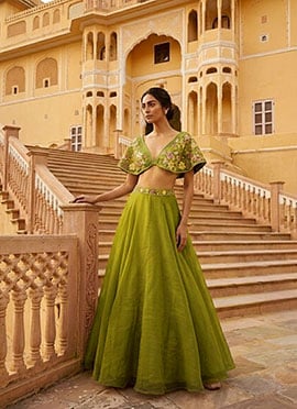 Light Olive Green Cape Sleeve Organza Resham Beads Indo Western Skirt Set