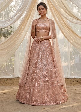 Light Peach Net Sequins Beads Embroidered Lehenga