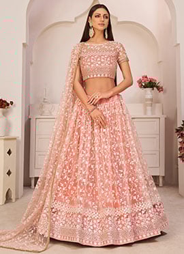 Light Pink Net Embroidery A Line Lehenga