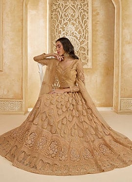 Luxurious Fawn Net Lehenga With Exquisite Stone And Embroidered Detailing