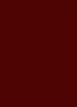 Maroon Georgette Fabric