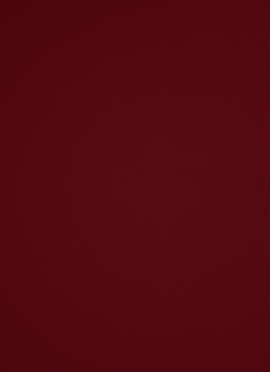 Maroon Georgette Fabric