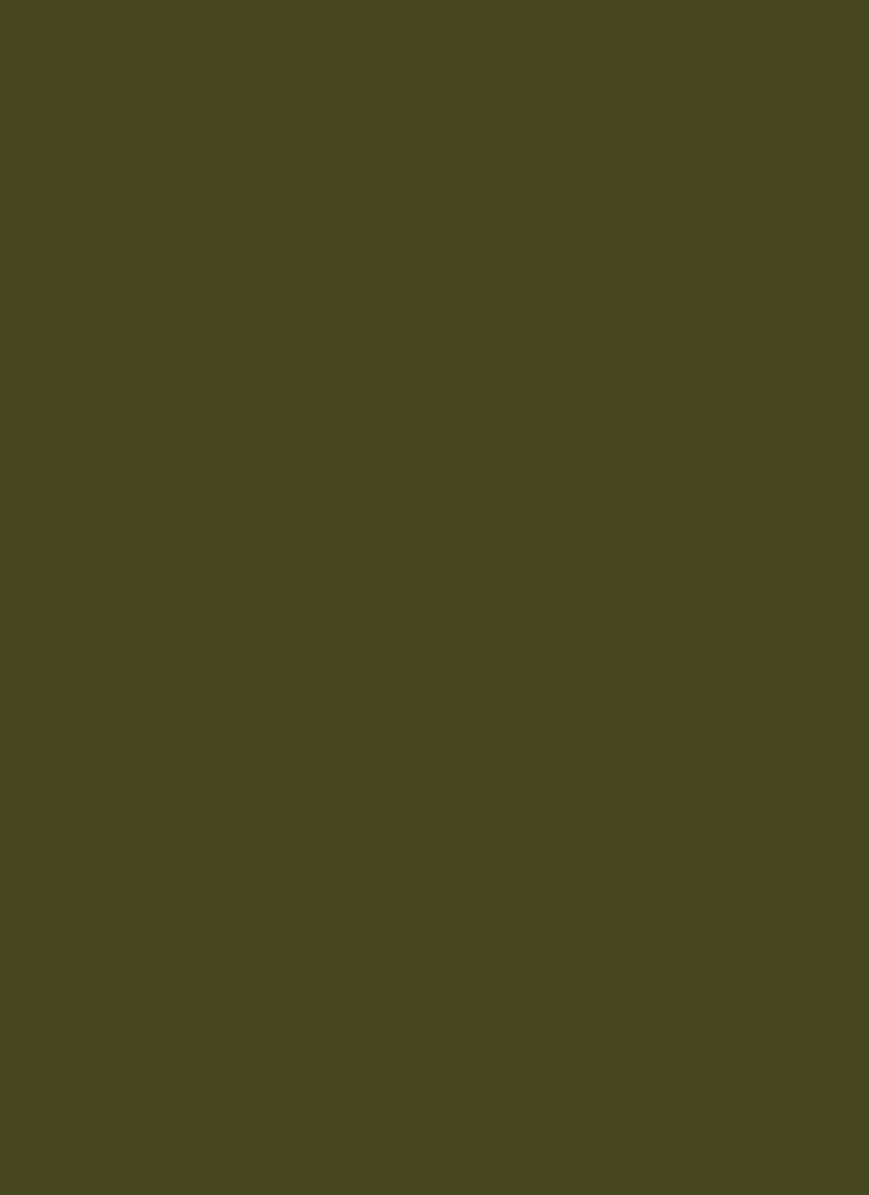 Mehendi Green Faux Crepe Solid Fabric