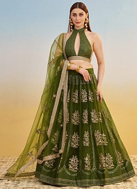 Mehendi Green Net Embroidered Sequins Lehenga