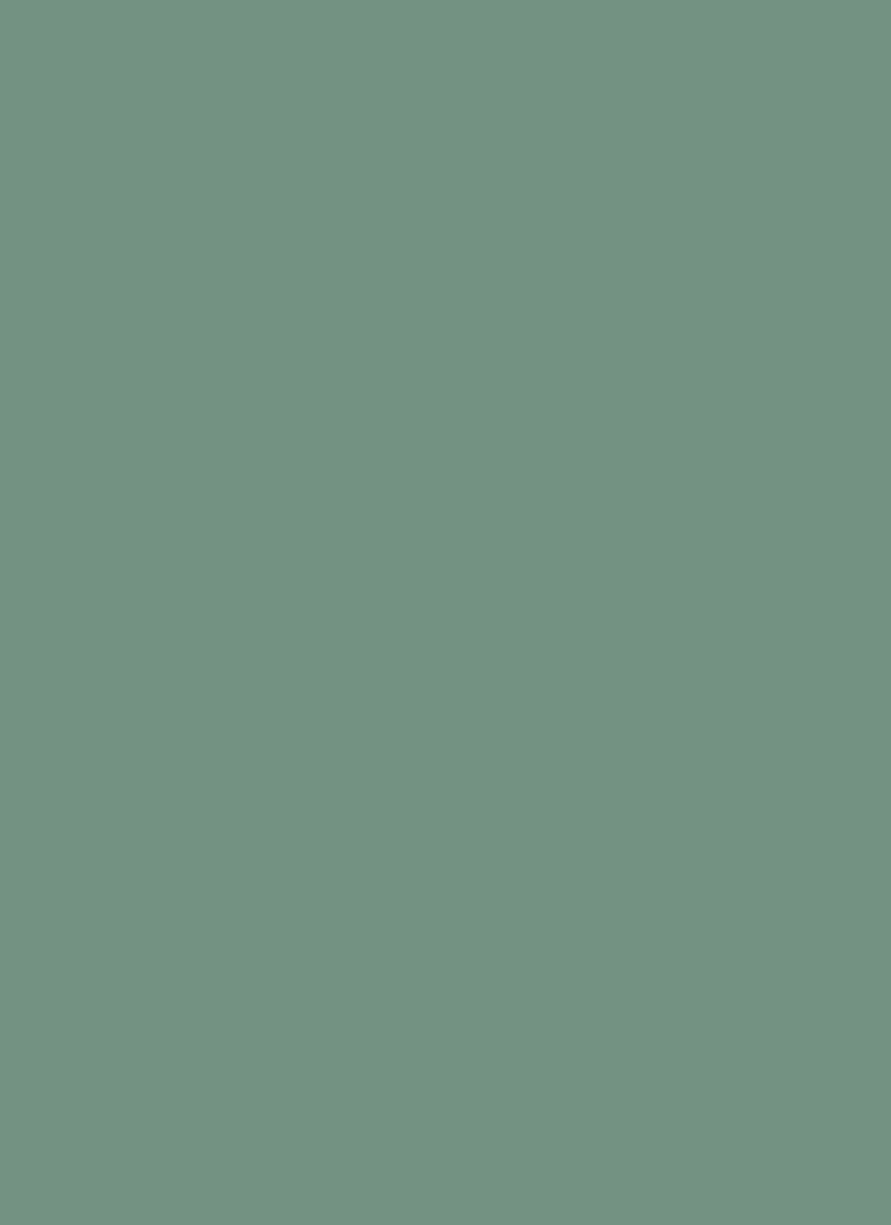 Mint Green Chinon Fabric