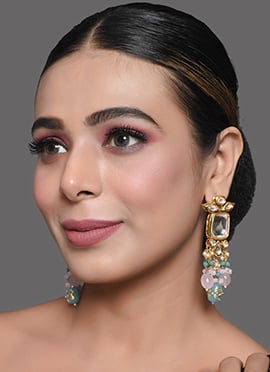 Multicolor Danglers Earrings