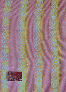 Multicolored Embroidered Chinon Fabric