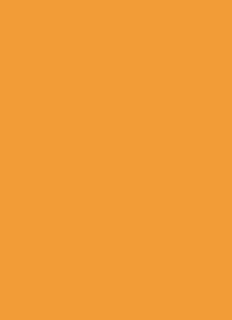 Mustard Painted Georgette Fabric