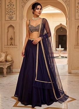 Navy Blue Organza Hand Embroidered Sequins Lehenga