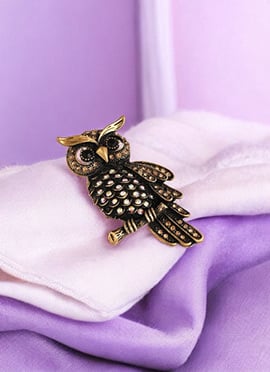 Owl Golden Stone Brooch For Men