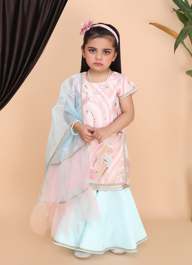 Peach Net Embroidery Sharara Suit