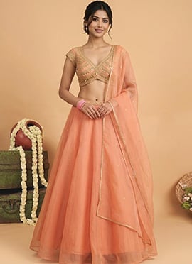 Peach Organza Cutdana Sequins Hand Embroidered Lehenga