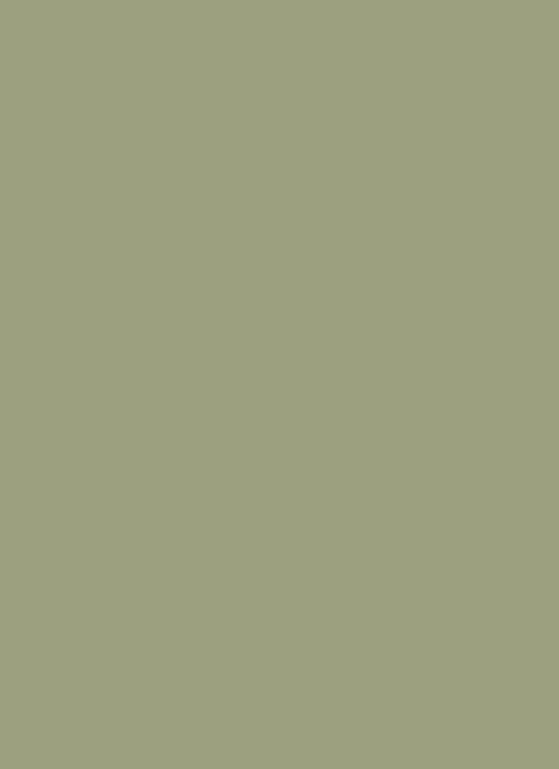 Pista Green Dupion Silk Fabric