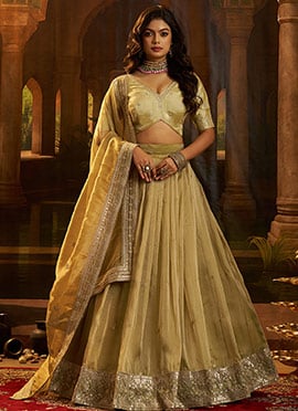 Pista Green Organza Zari Embroidered Sequins Umbrella Lehenga