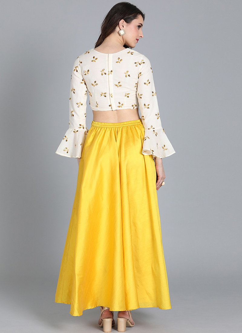 Embroidered crop top and skirt