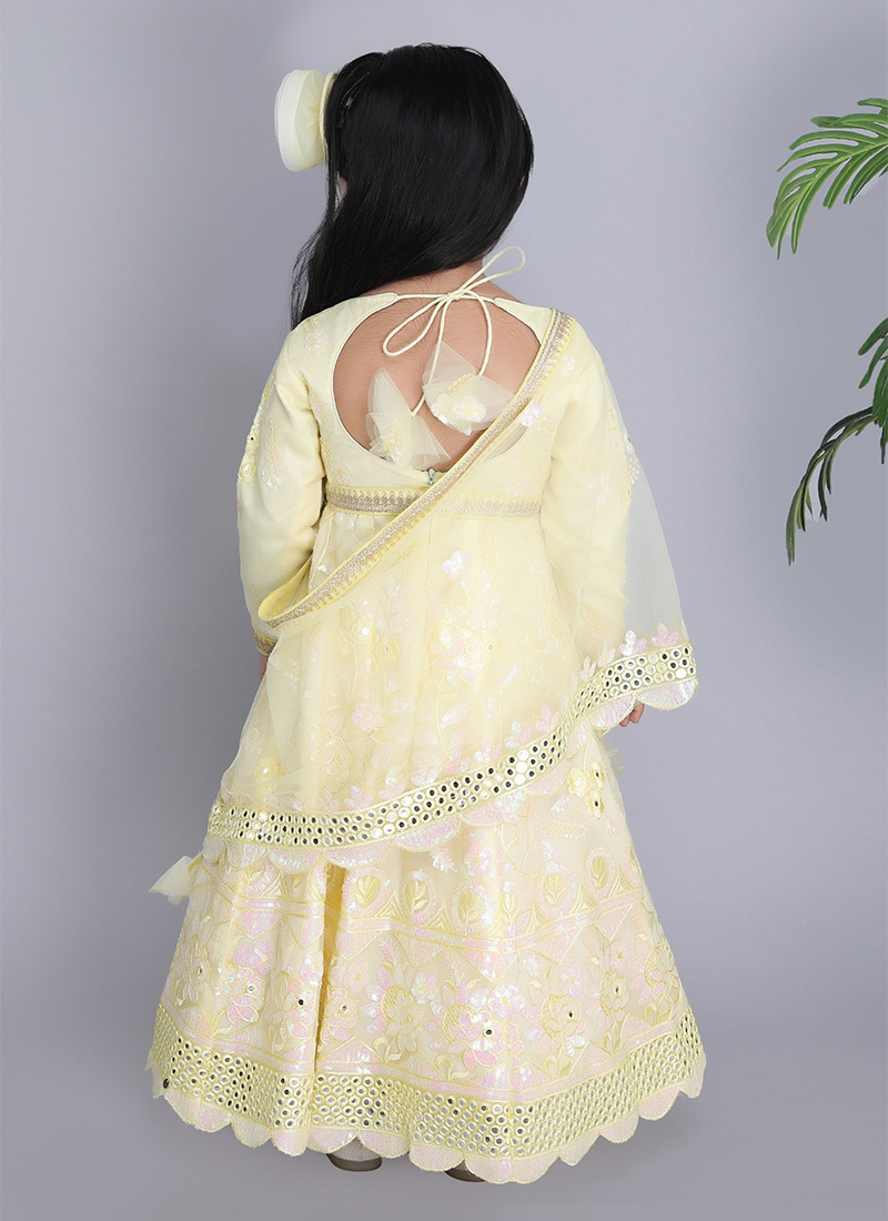 Elegant Embroidered Anarkali Gown with Sheer Grid Dupatta main image 0