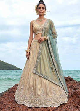 Radiant Cream Tissue Embroidered Umbrella Lehenga