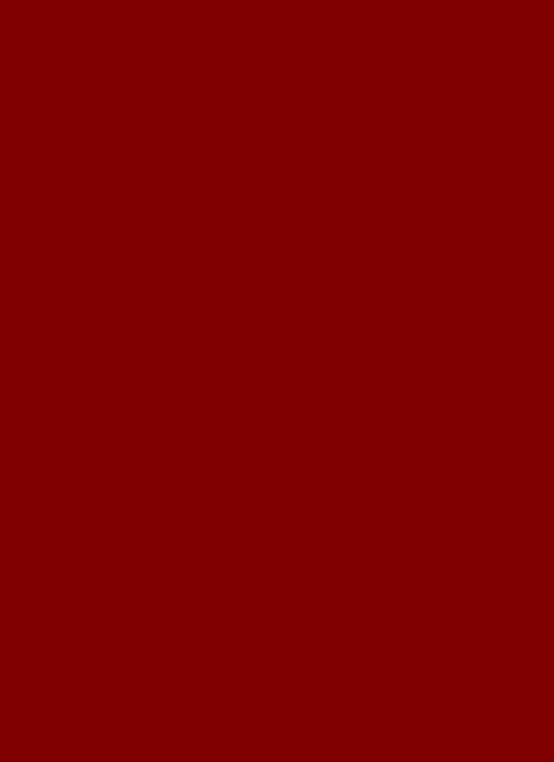 Red Net Fabric