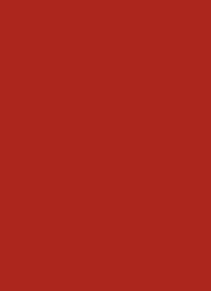 Red Net Plain Fabric