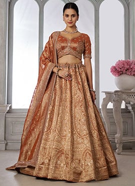 Rust Kanjivaram Tissue Sequins and Beads Embroidered Lehenga