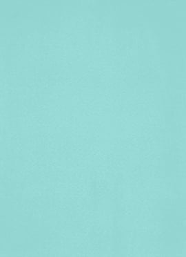 Sea Green Faux Crepe Solid Fabric