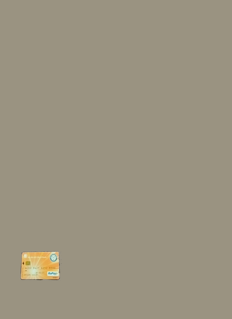 Silver Organza Fabric