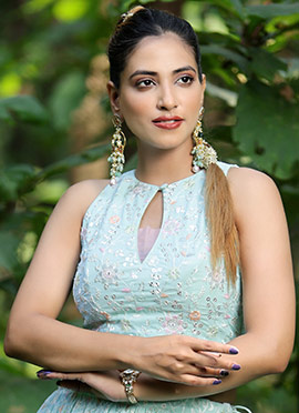 Sky Blue Georgette Embroidered Blouse