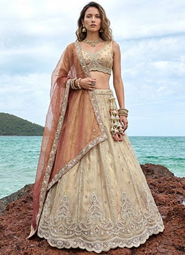 Timeless Cream Tissue Embroidered Umbrella Lehenga