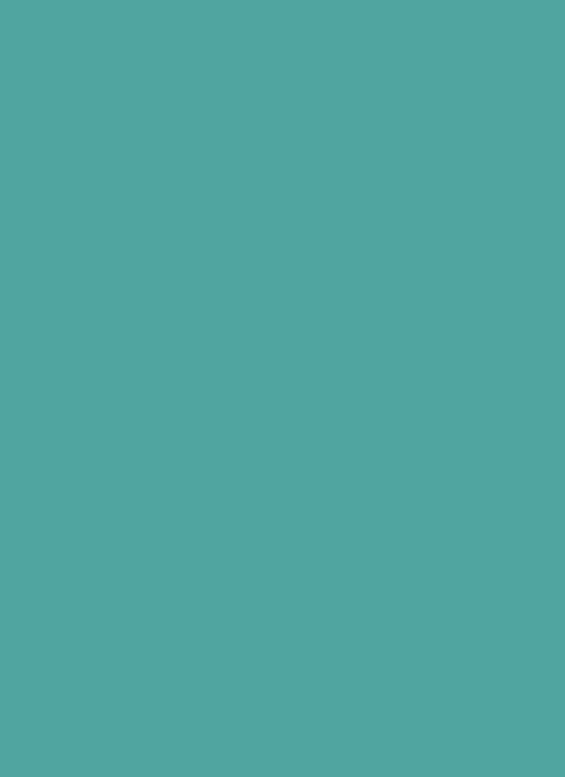 Turquoise Organza Fabric